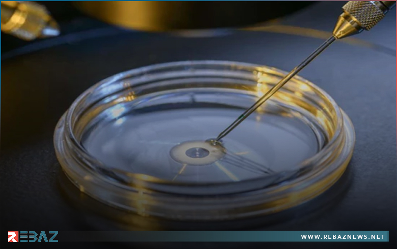 فريق علمي ياباني يكتشف علاجا جديدا للعقم عند الرجال فريق علمي ياباني يكتشف علاجا جديدا للعقم عند الرجال