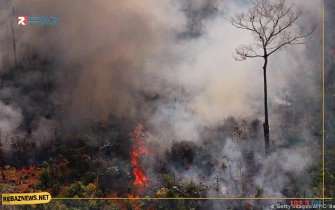 النيران تلتهم 