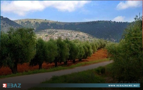 عفرين.. مسلحو 