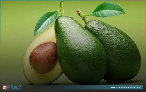 ماذا يحدث لجسمك عند تناول الأفوكادو يومياً؟