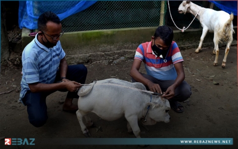 توافد آلاف المواطنين لرؤية 