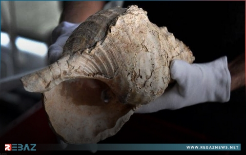 اكتشاف فريد.. العثور على آلة موسيقية عمرها 18 ألف عام