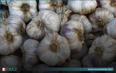 رغم رائحته الكريهة.. 5 فوائد عظيمة للثوم