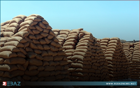 المؤسسة السورية للحبوب تصرف مستحفات الفلاحين من ثمن القمح 