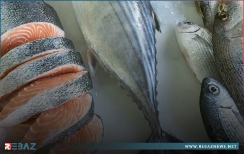 منها السمك...أطعمة تحمي مرضى السكري من هشاشة العظام