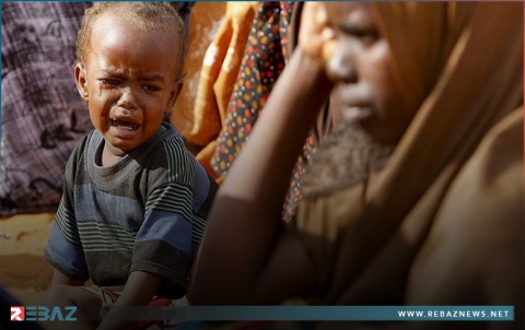 السودان.. وفاة نحو 20 شخصا جراء تناولهم علف 