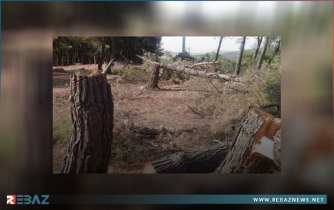 عفرين.. مسلحو 