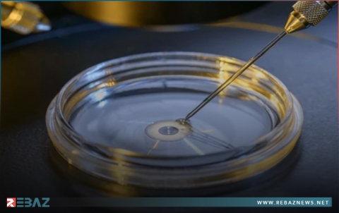 فريق علمي ياباني يكتشف علاجا جديدا للعقم عند الرجال فريق علمي ياباني يكتشف علاجا جديدا للعقم عند الرجال