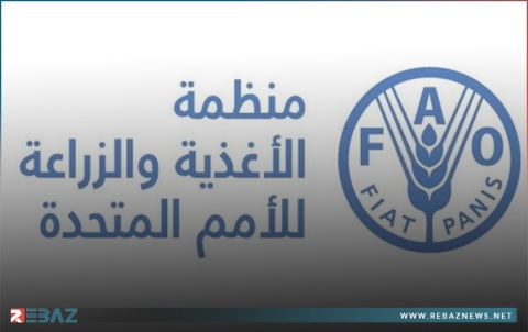 الفاو: أسعار الغذاء العالمية انخفضت بشكل طفيف في حزيران المنصرم