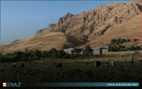 أمريكا تخصص مليون دولار للقطاع الزراعي في كوردستان