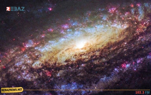 كشف سر الكون الرئيسي