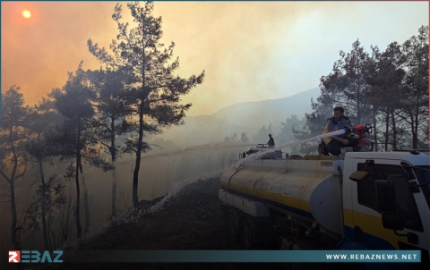 فرق الإطفاء تتمكن من سيطرة شبه كاملة على معظم مواقع الحرائق في غابات اللاذقية