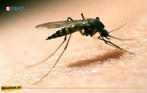 خبراء يتحدون: يمكن القضاء على الملاريا بحلول 2050