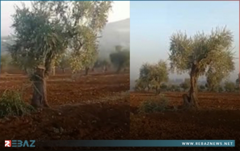 انتهاكات جدیدة للفصائل المسلحة في عفرین