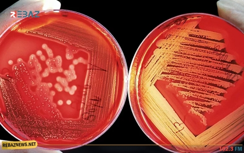 أعراض تستدعي استشارة طبيب الأورام بشكل عاجل