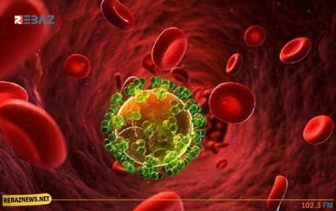  الاقتراب من اكتشاف 