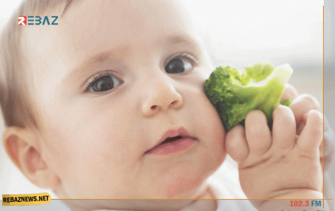 دراسة: البروكلي يحتوي على مركبات تمنع نمو السرطان