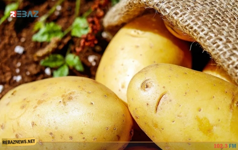 ليس كما تتوقع... البطاطا قد تساعد بتخفيض الوزن