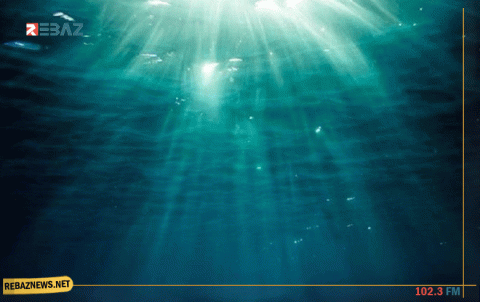 البكتيريا آكلة لحوم البشر تنتشر في مناطق غير متوقعة وتهدد حياة الأمريكيين