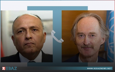 مصر تؤكد دعمها للتسوية السياسية الشاملة في سوريا