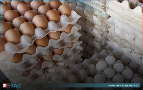 البيض الإيراني يغزو الأسواق ويتسبب بكساد البيض المحلي في محافظة دير الزور 