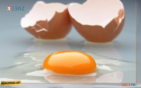  البيض وقوة النظر.. دراسة تكشف 