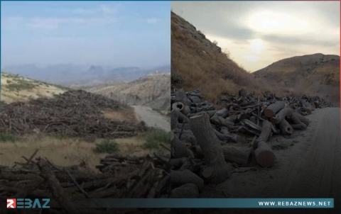 وزارتا الزراعة باقليم كوردستان والحكومة الاتحادية تطالبان تركيا بوقف قطع أشجار الاقليم