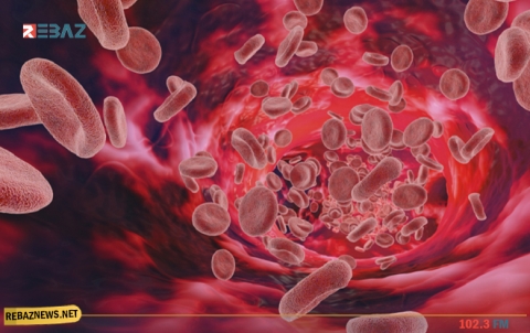 5 طرق يمكن من خلالها تعزيز الجهاز المناعي أثناء جائحة كورونا