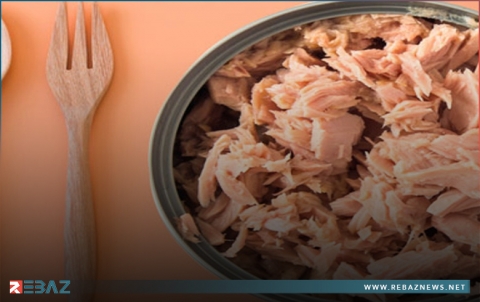 فوائد سمك التونة المعلب وأفضل نوع للرجيم