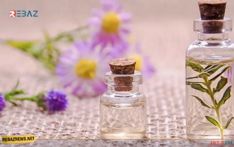 الثوم ضد مصاصي الدماء...توصيات بشأن مكافحة البعوض