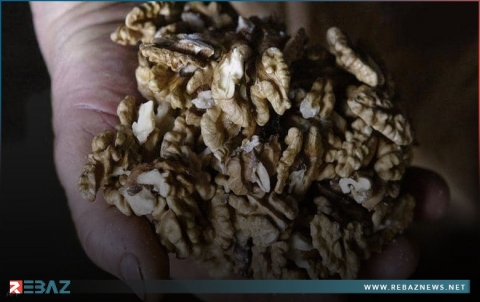 دراسة تكشف فوائد مذهلة لـ 