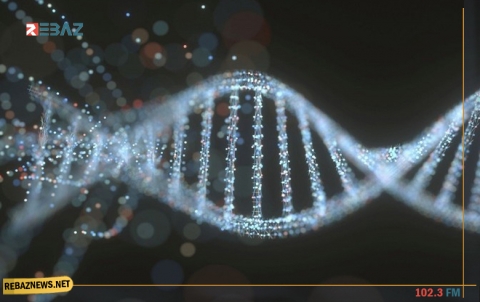 تطور ثوري في تقنية تعديل الجينات المثيرة للجدل!