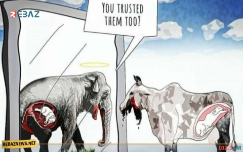 بعد حادثة الفيل.. مشهد مأساوي مماثل لبقرة تناولت أطعمة مفخخة‎