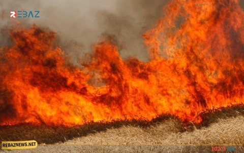  تمدد الحرائق في مناطق التماس بين “قسد” والفصائل الموالية لتركيا