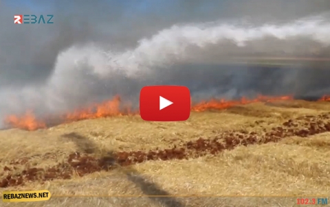 حماة.. حريق ضخم يلتهم المحاصيل الزراعية