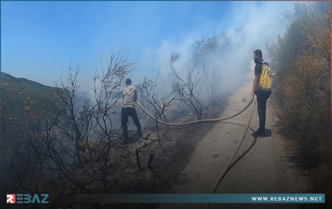 اندلاع عدة حرائق في سوريا خلال 24 ساعة 