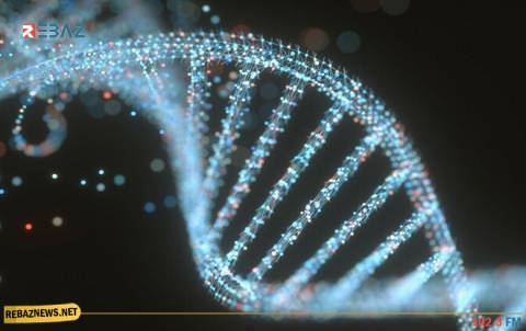 اكتشاف مثير قد يساعد على إطالة أمد خصوبة النساء