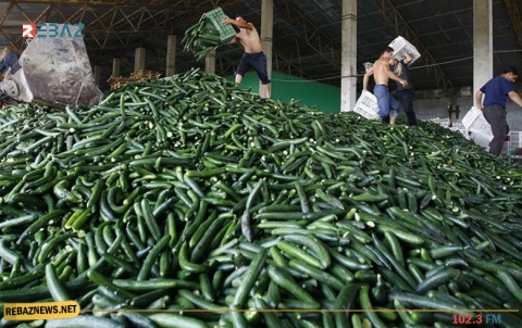 الخيار بدلا من الأدوية