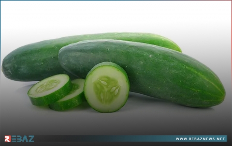 فوائد تناول الخيار يومياً