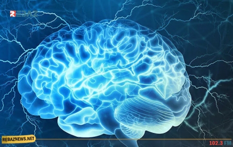 من بينها الطماطم.. أطعمة تجعلك أكثر ذكاءً