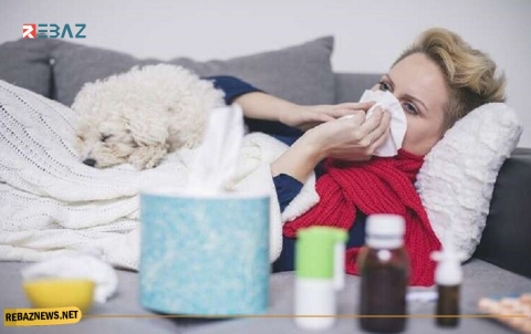 كيف نحد من أعراض نزلة البرد قبل تفاقمها؟