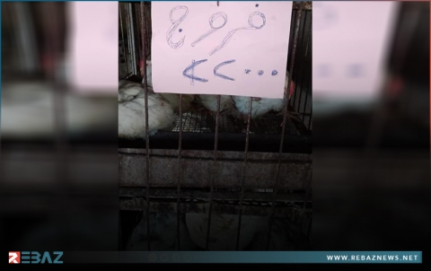 ديرك.. بين ليلة وضحاها قفز سعر كيلو الفروج من 20500 إلى 22000 ليرة سورية