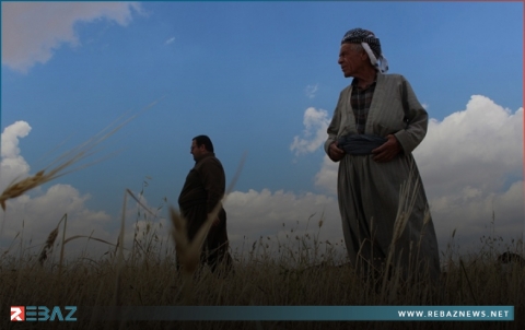 زراعة كركوك : الجفاف قضى على 600 الف دونم من محصولي الحنطة والشعير