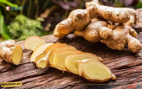 فوائد الزنجبيل
