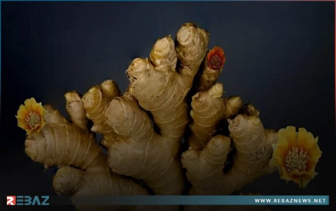 كيف يساعد الزنجبيل على علاج التهاب الحلق؟