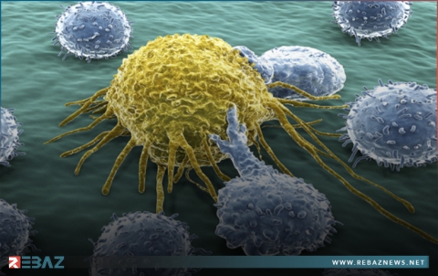 وجبة خفيفة ولذيذة يمكنها 