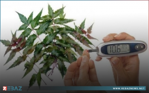 أشياء تبدو غير ضارة تزيد خطر الإصابة بالسكري