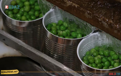 أطعمة تحسن الذاكرة وتعيد الشباب