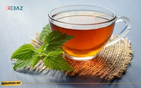 علماء يكشفون أهمية الشاي لصحة الدماغ