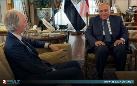 مصر تؤكد حرصها على تسوية الأزمة السورية وفق القرار الدولي 2254